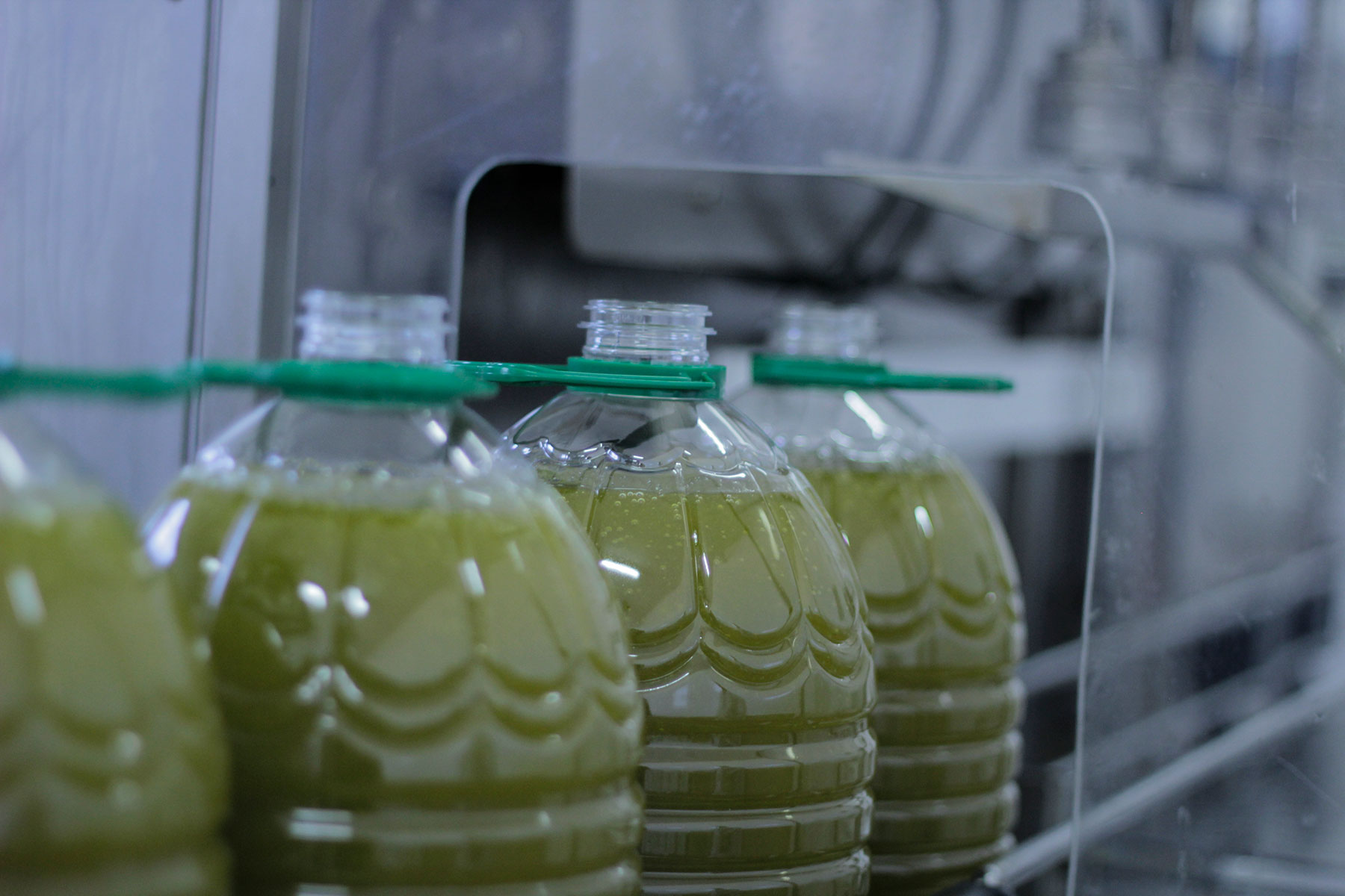 Aceites Montevilla – etiquetando Aceites Montevilla - etiquetando