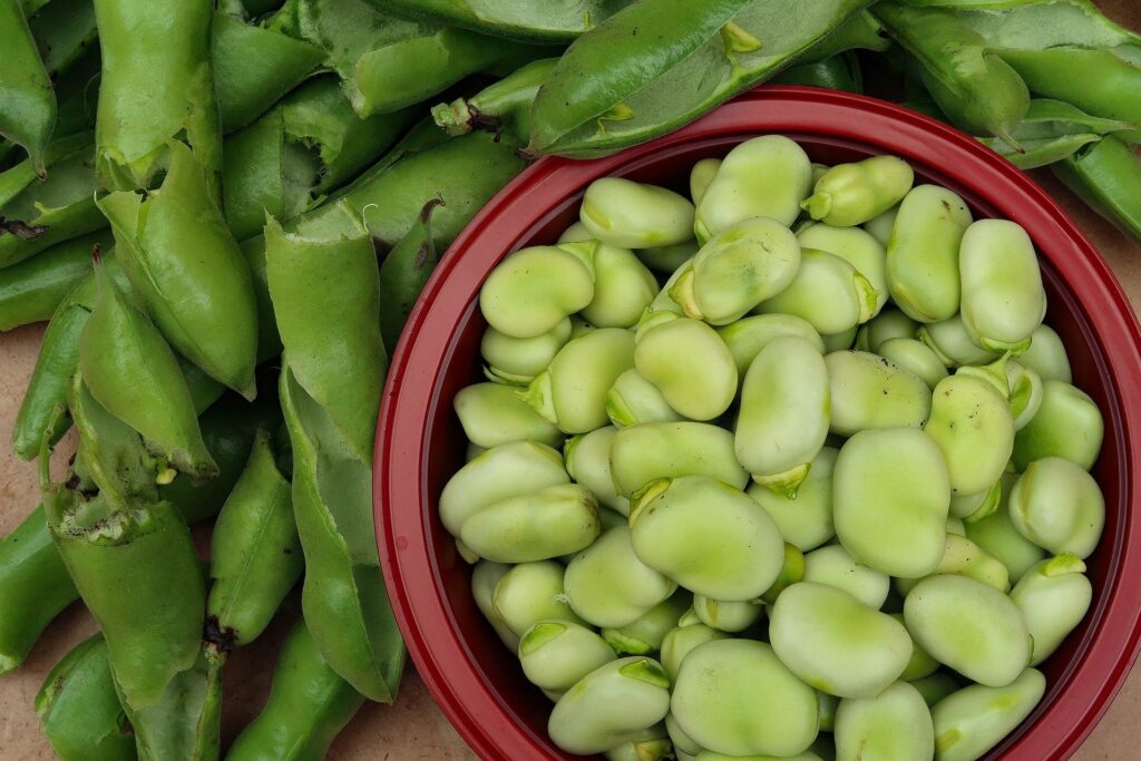 Receta Habas